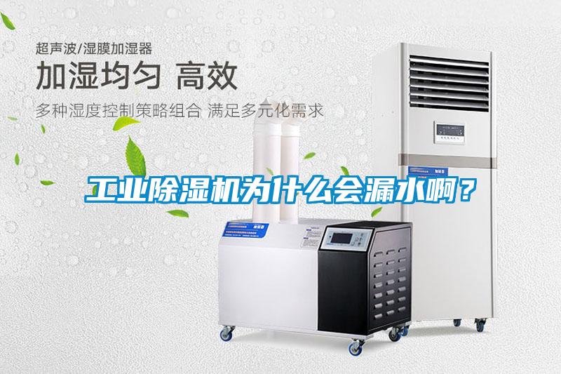 工業(yè)除濕機(jī)為什么會漏水啊？
