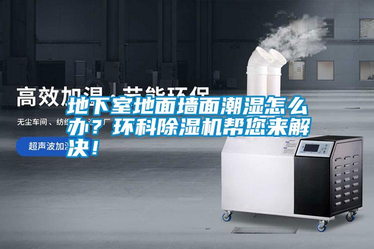 地下室地面墻面潮濕怎么辦？環科除濕機幫您來解決！