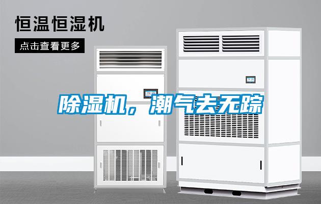 除濕機，潮氣去無蹤