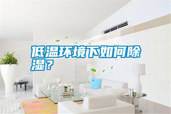 低溫環境下如何除濕？