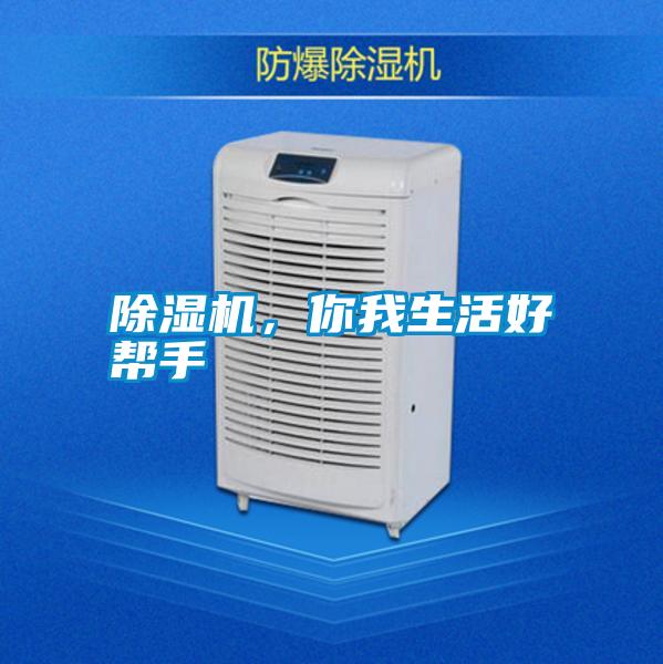 除濕機，你我生活好幫手