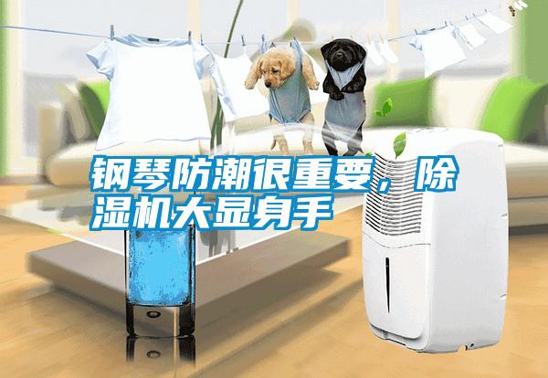 鋼琴防潮很重要，除濕機大顯身手
