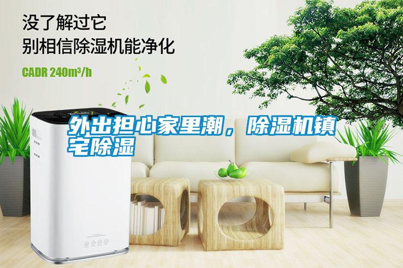 外出擔心家里潮，除濕機鎮(zhèn)宅除濕