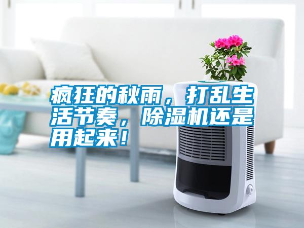 瘋狂的秋雨，打亂生活節(jié)奏，除濕機還是用起來！