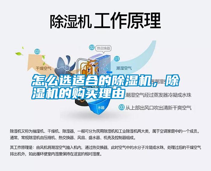 怎么選適合的除濕機，除濕機的購買理由
