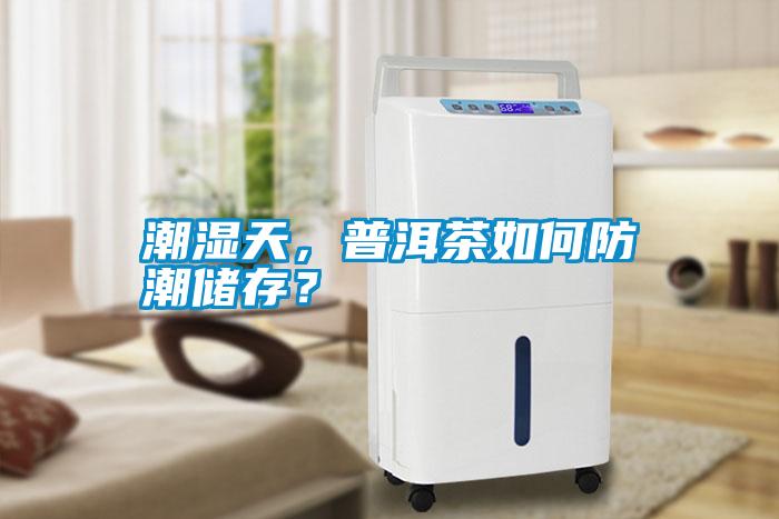 潮濕天，普洱茶如何防潮儲存？