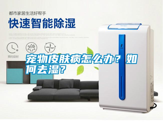 寵物皮膚病怎么辦？如何去濕？
