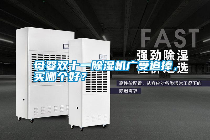 母嬰雙十一除濕機(jī)廣受追捧，買哪個(gè)好？