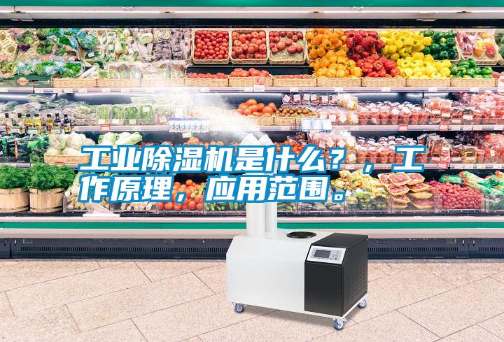 工業除濕機是什么？，工作原理，應用范圍。