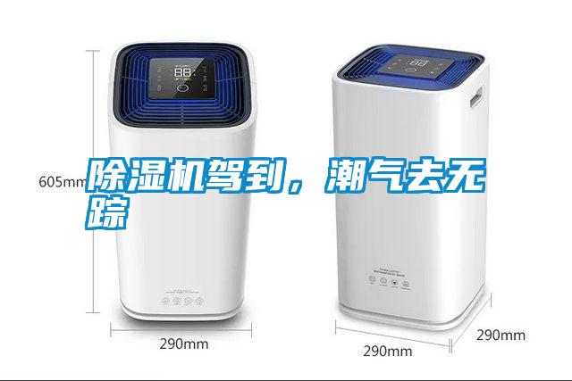 除濕機駕到，潮氣去無蹤