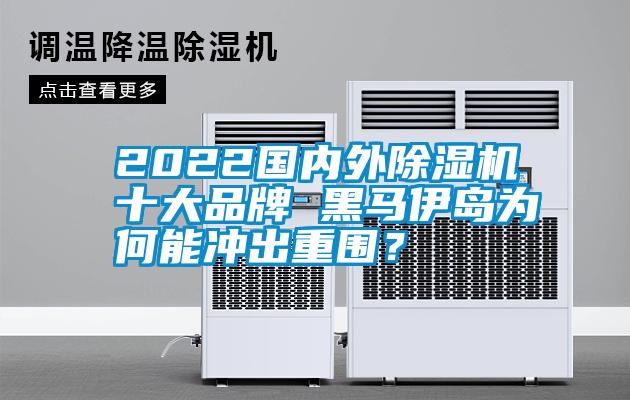 2022國內(nèi)外除濕機(jī)十大品牌 黑馬伊島為何能沖出重圍？