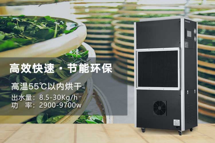 濕氣重的人，是不是更容易出汗？
