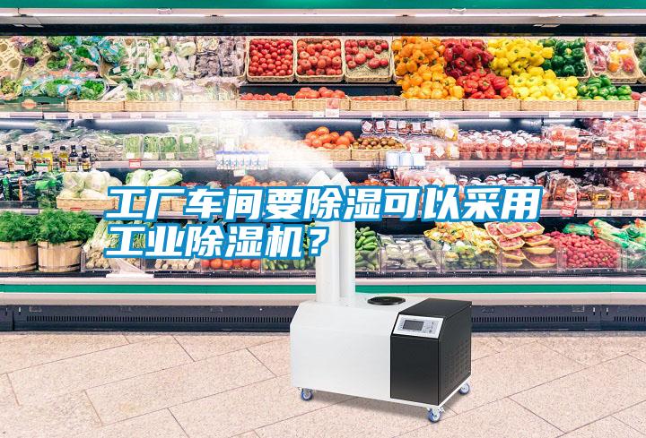 工廠車間要除濕可以采用工業除濕機？