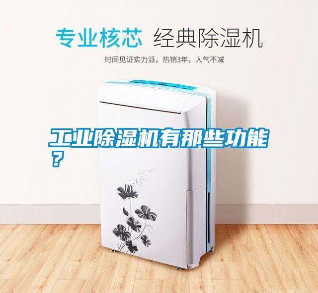 工業(yè)除濕機有那些功能？