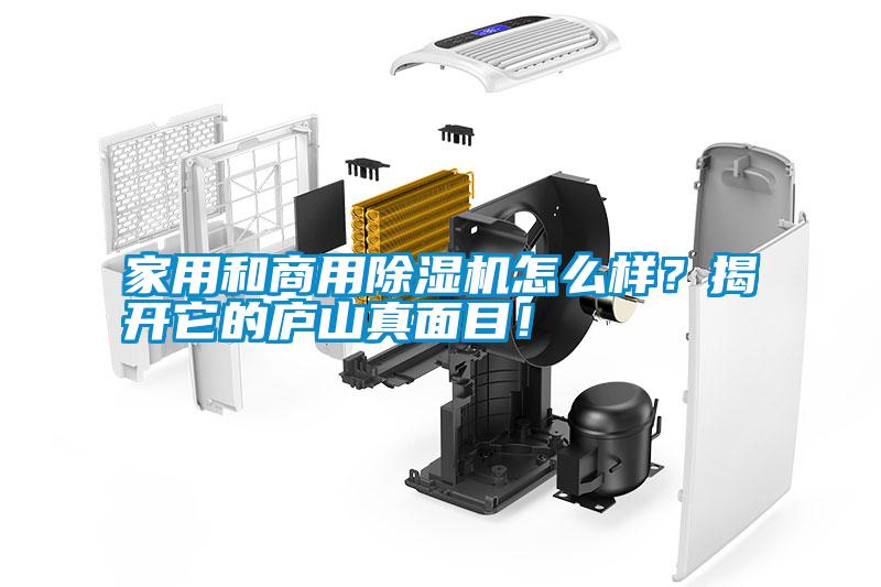 家用和商用除濕機怎么樣？揭開它的廬山真面目！