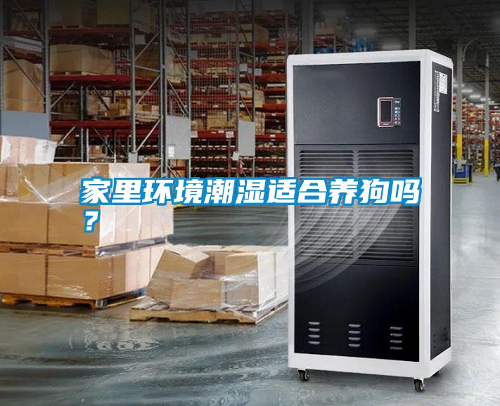 家里環境潮濕適合養狗嗎？