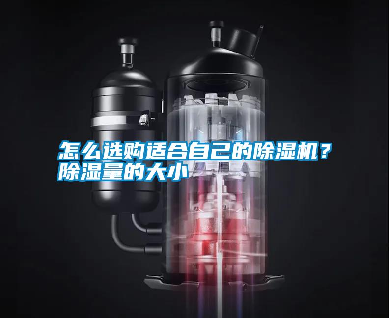 怎么選購適合自己的除濕機？除濕量的大小
