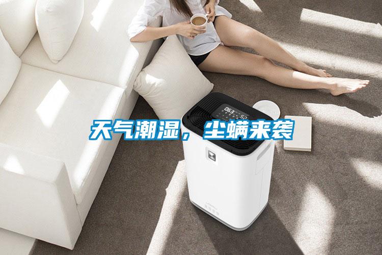 天氣潮濕，塵螨來襲