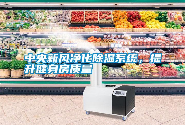 中央新風凈化除濕系統，提升健身房質量