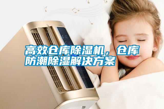 高效倉庫除濕機，倉庫防潮除濕解決方案