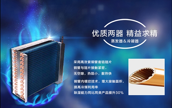 濕冷冬季,如何應對