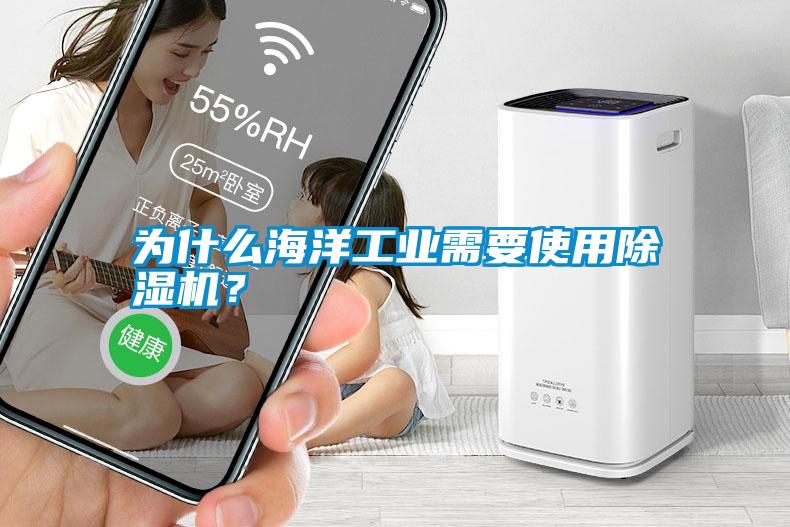 為什么海洋工業(yè)需要使用除濕機？