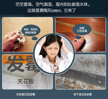 酒店、餐廳這么潮，誰還放心？除濕機用起來啊