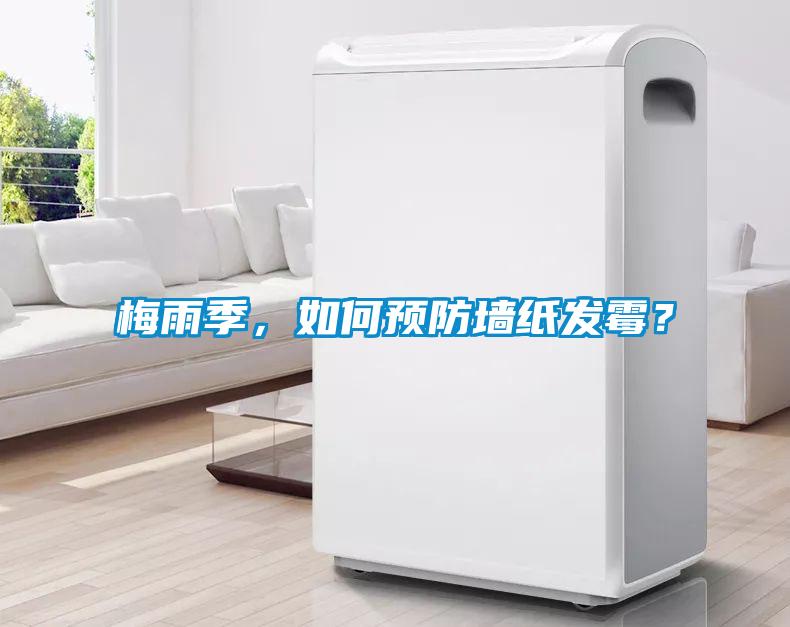 梅雨季，如何預防墻紙發霉？