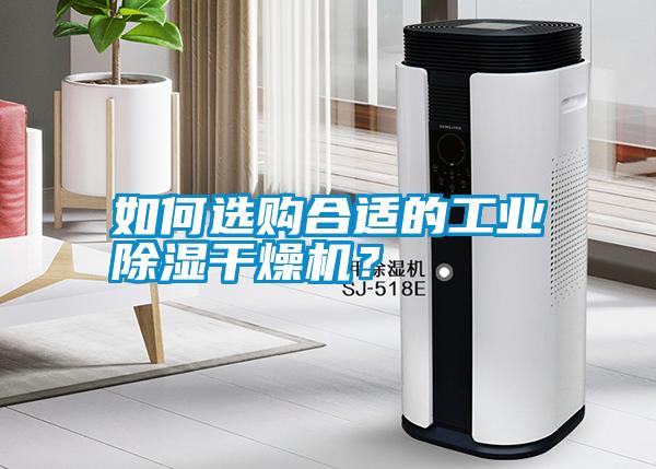 如何選購合適的工業除濕干燥機？