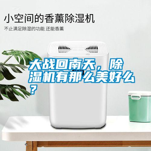 大戰回南天，除濕機有那么美好么？