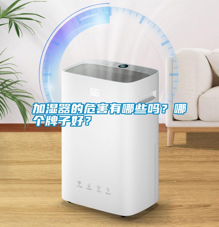 加濕器的危害有哪些嗎？哪個牌子好？