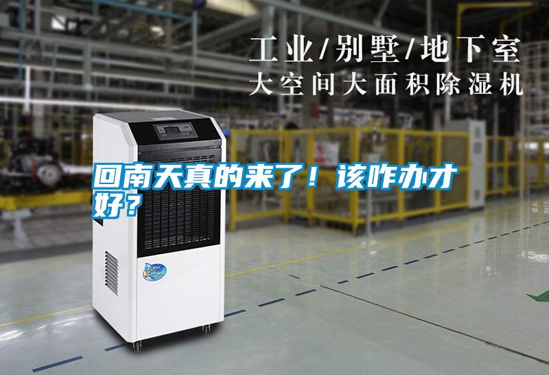 回南天真的來了！該咋辦才好？