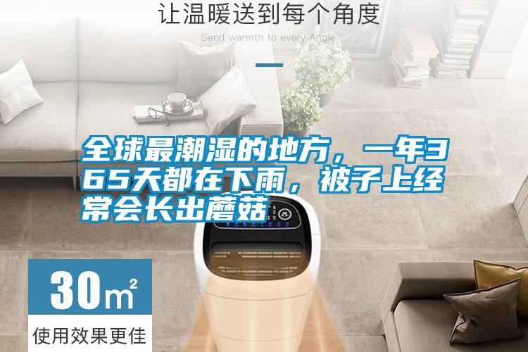 全球最潮濕的地方，一年365天都在下雨，被子上經常會長出蘑菇