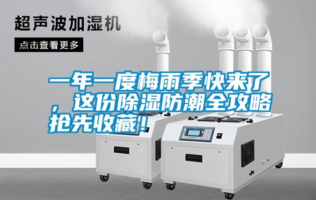 一年一度梅雨季快來了，這份除濕防潮全攻略搶先收藏！
