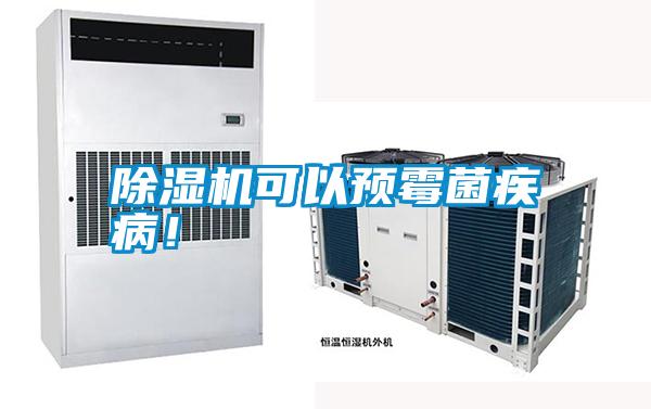 除濕機可以預霉菌疾?。?></div>
								<div   id=