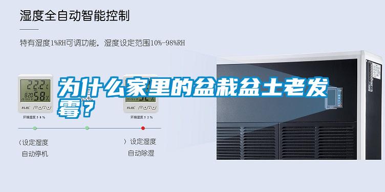 為什么家里的盆栽盆土老發(fā)霉？