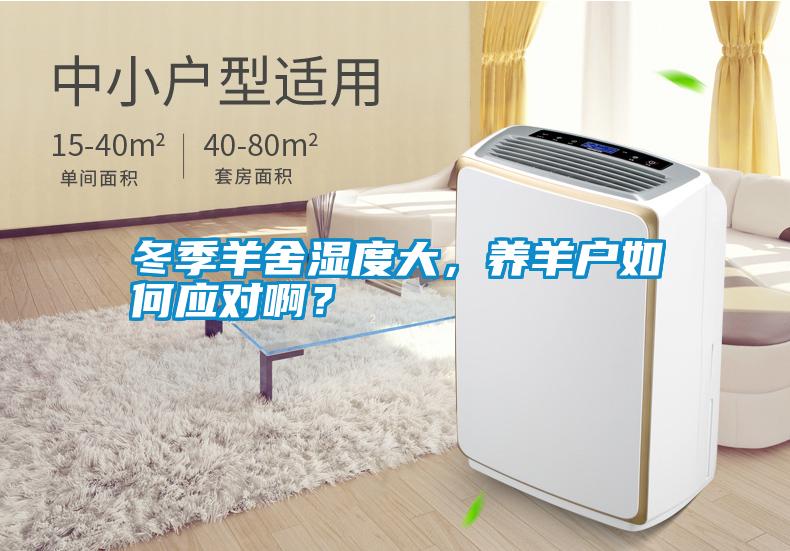 冬季羊舍濕度大，養羊戶如何應對??？