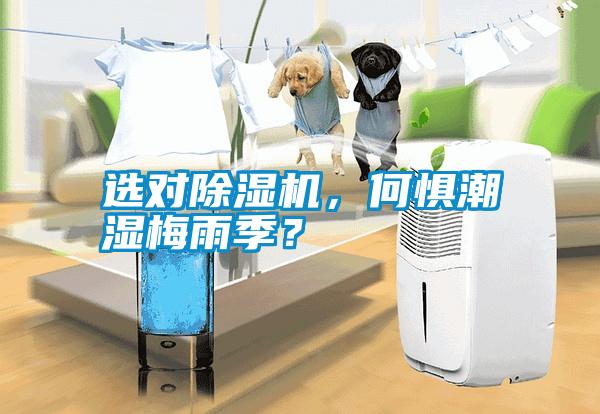 選對除濕機，何懼潮濕梅雨季？