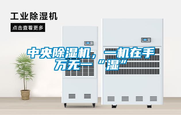 中央除濕機，一機在手萬無一“濕”