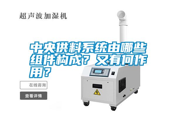 中央供料系統由哪些組件構成？又有何作用？