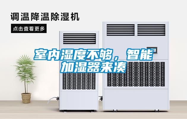 室內濕度不夠，智能加濕器來湊