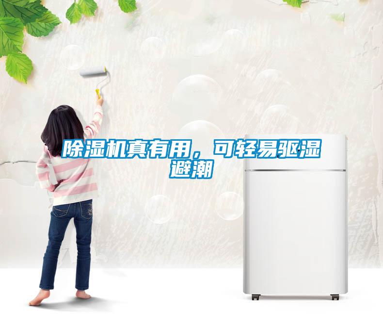 除濕機真有用，可輕易驅濕避潮