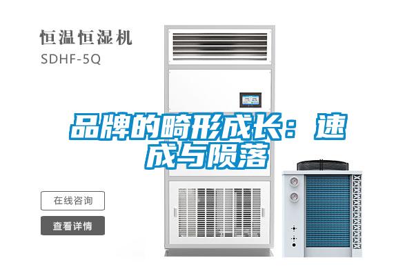 品牌的畸形成長:速成與隕落