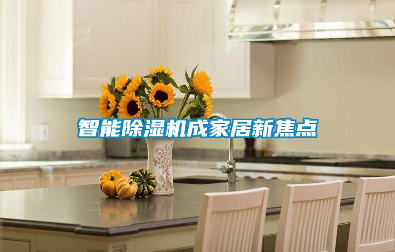 智能除濕機(jī)成家居新焦點