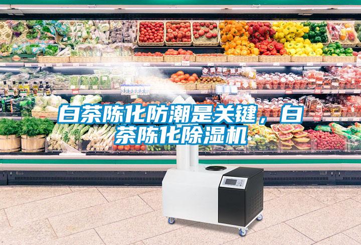 白茶陳化防潮是關鍵，白茶陳化除濕機