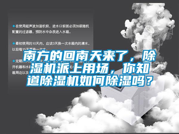 南方的回南天來了，除濕機(jī)派上用場(chǎng)，你知道除濕機(jī)如何除濕嗎？