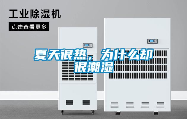 夏天很熱，為什么卻很潮濕