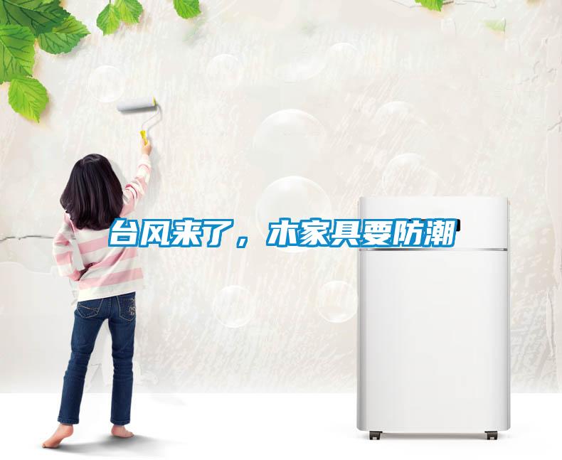 臺(tái)風(fēng)來了，木家具要防潮