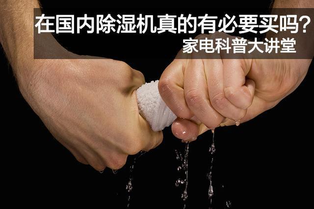 潮濕悶熱天氣，謹(jǐn)防狗狗中暑！