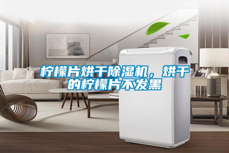 檸檬片烘干除濕機(jī)，烘干的檸檬片不發(fā)黑